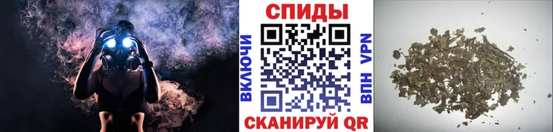 маркетплейс Telegram  ОМГ ОМГ ссылка  Котово  БУТИРАТ буратино 