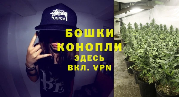 spice Киренск