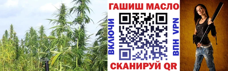 Дистиллят ТГК THC oil  магазин  наркотиков  Котово 