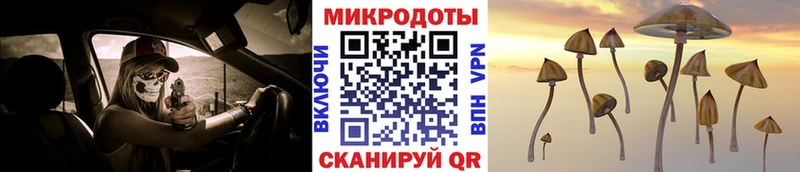 Галлюциногенные грибы Cubensis Котово